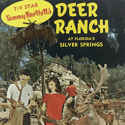 Tommy Bartlett's International Deer Ranch logo