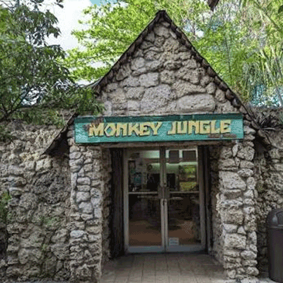 Monkey Jungle logo