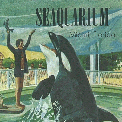 Miami Seaquarium logo